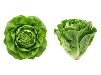 Obraz premium Fresh green lettuce head on a white background, showcasing its leafy structure and vibrant color from top and side angles.