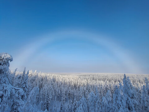 Fog bow over snowy forest landscape in Salla, Northern Finland