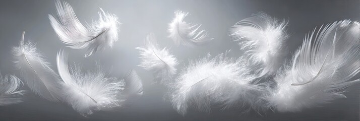 Fototapeta premium Floating white feathers against a soft gradient background for tranquil imagery
