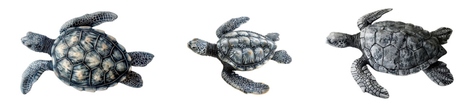 Three sea turtles swimming isolated on transparent background