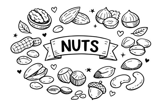 Nuts doodle illustration in black and white hand drawn outline style with mixed healthy snack and organic food elements