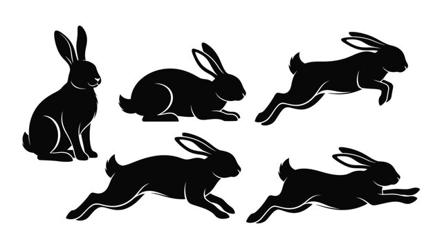 Silhouette illustration depicting multiple rabbits in various poses and activities