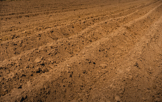 A landscape with plowed fields in early spring