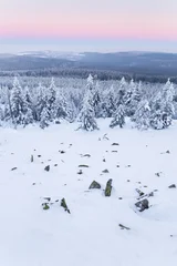 Winter landscape in Germany short before sunrise © Alexander Erdbeer