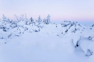 Winter landscape in Germany short before sunrise © Alexander Erdbeer