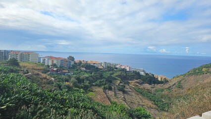Scenic coastal view of Funchal, Madeira with terraced farmland, hillside vegetation and residential buildings overlooking the Atlantic Ocean beneath a soft cloudy sky. © Sebastiaan89