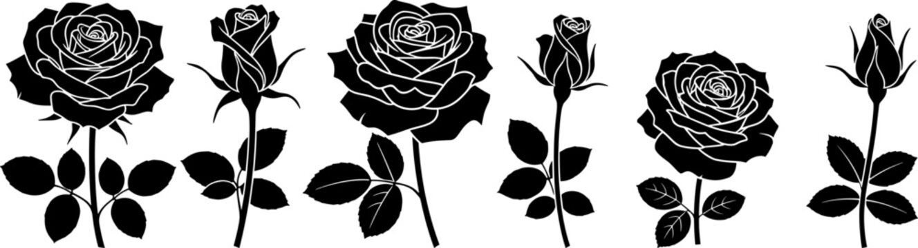 Black Rose Silhouettes Set, Vector Floral Elements for Wedding Design and Tattoo Art, Isolated Flat Icons