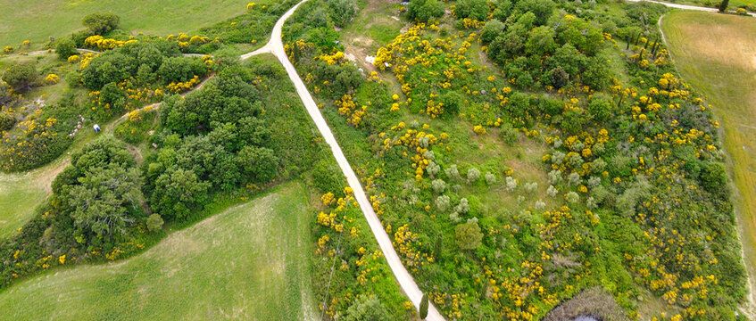 Aerial view of Monticchiello zigzag cypress road from drone in Tuscany, spring season
