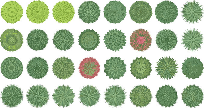 Flat Top View Tree and Bush Vector Illustration Set for Landscape Design and Architectural Plans