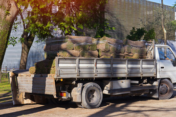 Truck carrying stacked sod rolls near residential garden in warm spring light, outdoor garden routine mood