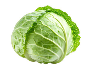 Fototapeta premium Fresh whole green cabbage head, raw and isolated on a white background