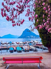 Fototapeta premium Scenic park bench with springtime magnolia blossoms and lake view in Lugano, Ticino, Switzerland