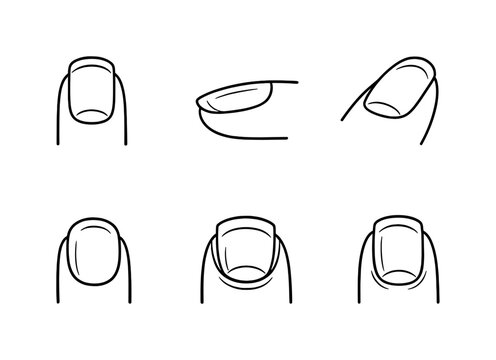 Line style icons of nail condition diagnostics: no blue tint, no redness, no yellow tone, even structure, clean form, controlled