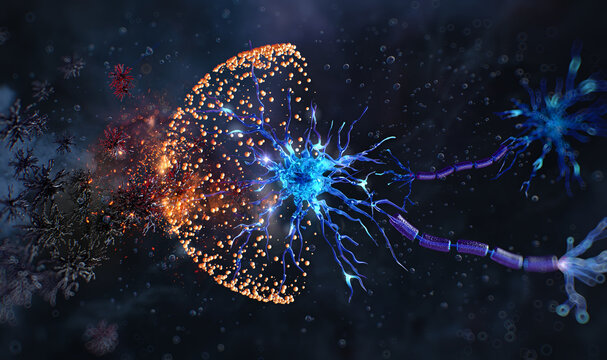 Neuron neuroprotection: glucagon-like peptide-1 (GLP-1) molecular barrier shielding nerve cell from amyloid beta plaques. Alzheimer's and Parkinson&rsquo;s disease therapy. Neuroscience, cognitive health