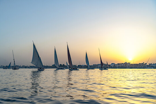 View of feluccas sailing on the shimmering Nile under a golden sunset sky, casting long reflections on the water, Luxor, Luxor Governorate, Egypt.
