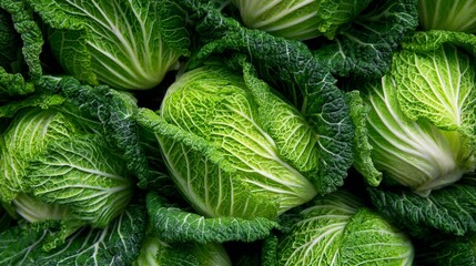 Fototapeta premium Bright, juicy Chinese cabbages lie flat, seen from above.