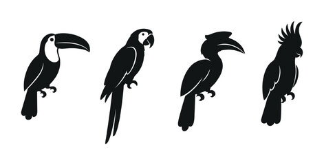 Obraz premium Adobe Illustrator Artwork