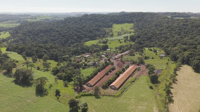 Avi�rios e chiqueiros em propriedade rural. Campos verdes e florestas.
