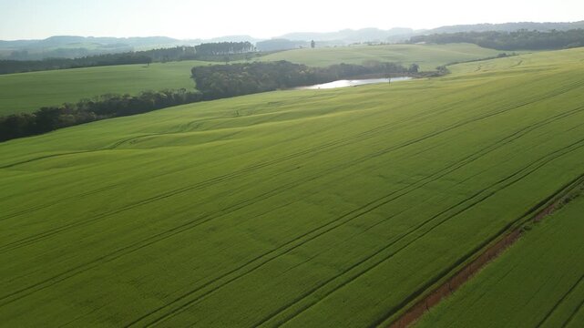 Incr�vel paisagem de campos verdes com um lago e c�u azul.