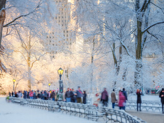 Central Park after a snowstorm