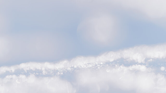 Soft winter light glints off delicate ice crystals.