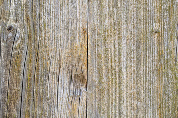 Fototapeta premium Top view of brown wooden board with cracks and rough texture, natural rustic background, abstract wood surface for design, organic material and aged pattern concept