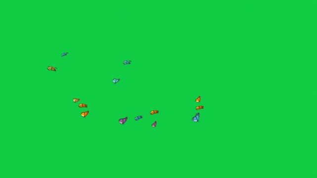 5 Colorful Butterflies Swarm Animation &ndash; Overlay Graphic Element Green Screen