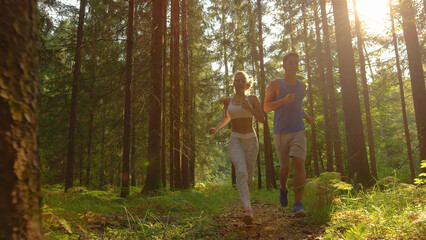 Fototapeta premium LENS FLARE: Spring sunbeams shine through the treetops and down on trail runners