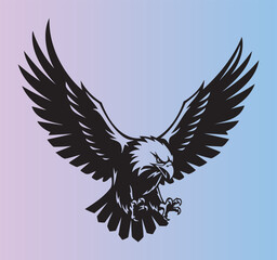 Obraz premium Majestic bald eagle with wings spread wide in flight