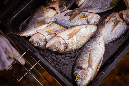 View of glistening, fresh-caught fish with silver scales and golden hues, arranged on a dark tray, ready to be cooked, Pula, Croatia.