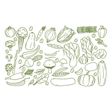 Set of 30 green line art vegetable icons