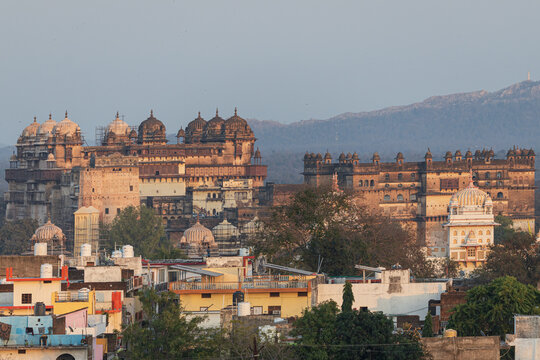 View of ancient sandstone architecture under a soft sky, dotted with domes and set against distant hills, blending history with the vibrant hues of life, Orchha, Madhya Pradesh, India.