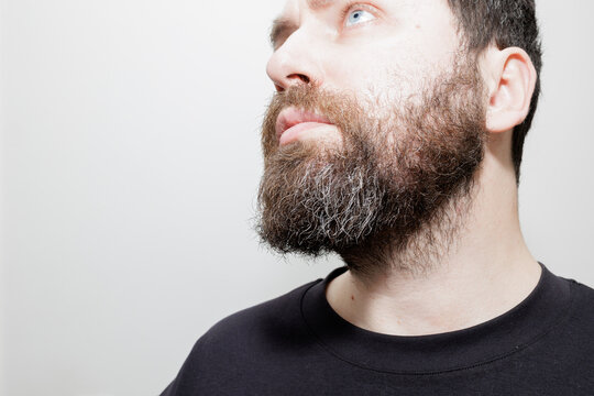 A detailed close-up shot of a man's thick, salt and pepper beard looking upwards against a white background. Stock photo