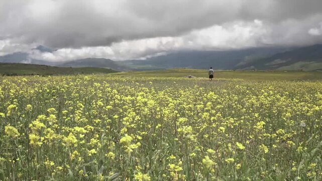 Paisaje en el norte argentino de monta&ntilde;as y flores