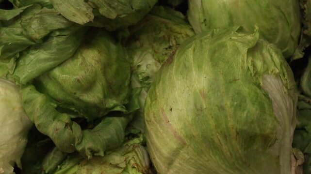 Lechuga en verduleria