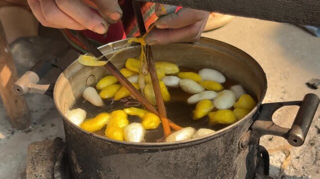 Boiling Silk Worm Cocoons to Make Silk