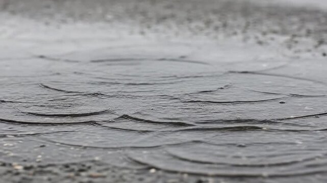 Textured Concrete Surface: A close-up view reveals a textured concrete surface, the rough, organic patterns adding an element of intrigue and tactile interest.