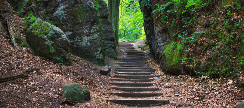 Natural landscape, banner - view of stairs between rocks on a mountain path in Saxon Switzerland, Germany