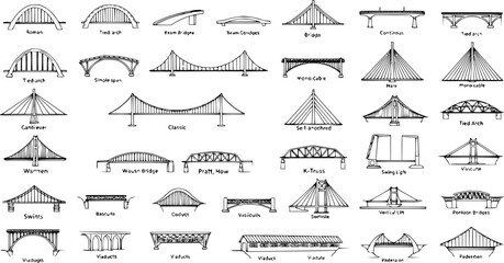 Detailed illustration of 49 different bridge types and designs, featuring various architectural structures like arch, suspension, truss, and cable-stayed bridges, perfect for engineering  © victoria