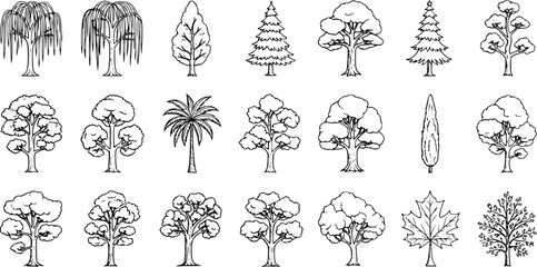 Set of Hand-Drawn Tree Illustrations. Diverse collection of various tree types including deciduous, coniferous, palm, and weeping willow sketches. Nature clip art pack. © victoria
