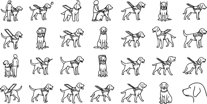 Service and Guide Dog Black and White Line Art Icons Collection - Disability Assistance, Animal Support, and Pet Training Vector Glyphs