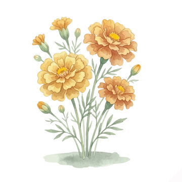 Watercolor painting of vibrant orange and yellow marigold flowers in bloom