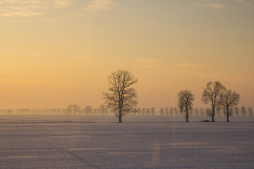 zimowe pole o wschodzie słońca © Patryk