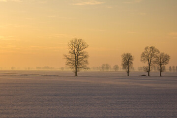 zimowe pole o wschodzie słońca © Patryk