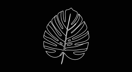 Monstera leaf outline illustration. © Jasmine