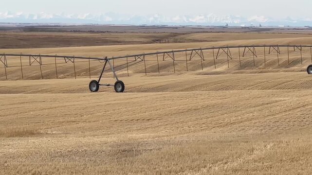 POV driving past center pivot irrigation system across dry prairie farmland in Alberta