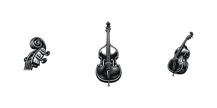 Vintage double bass illustrations and scroll detail on a white background