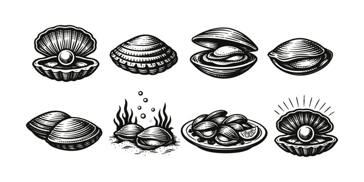 Collection of vintage style shellfish and pearl illustrations in black and white