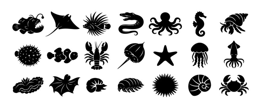 Deep Sea Creatures Silhouette Icon Set Exotic Marine Animals Black Vector Collection