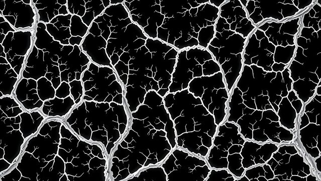 malbec. Abstract fungal mycelium network pattern with white filaments and organic branching on dark background. gardening catalogs, home-decor guides, designed for gardening and botanical catalogs.